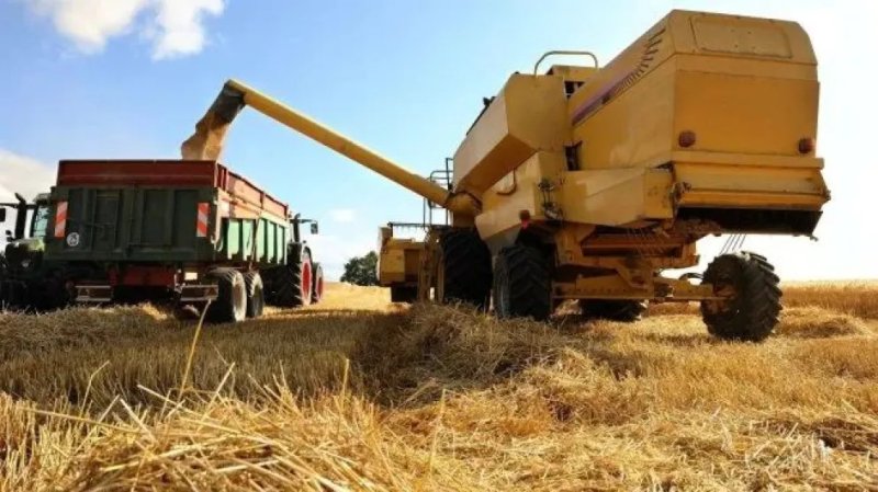 La agroindustria sostiene la economía de Entre Ríos ante un mercado laboral que no arranca