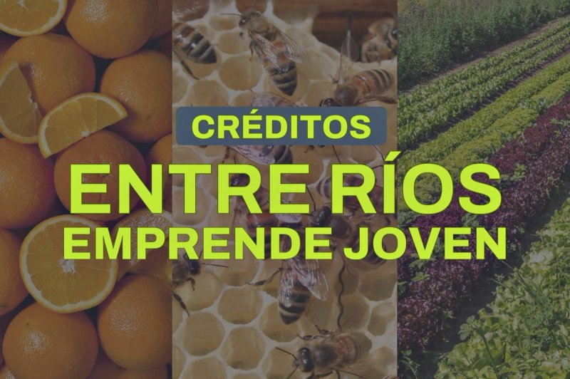 Lanzaron Entre Ríos emprende joven