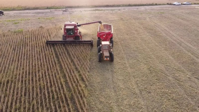 Estadísticas revelan que Entre Ríos logró el mejor rendimiento agrícola de los últimos 25 años