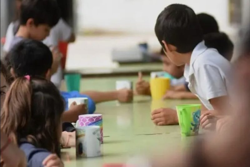 El Gobierno ratificó la continuidad del nuevo sistema de alimentación escolar