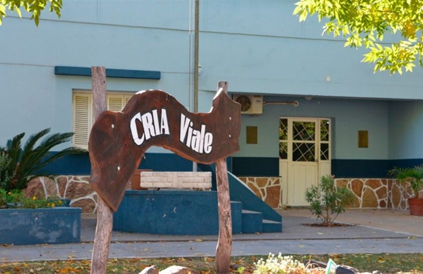 Viale: entraron por un ventiluz, maniataron a la dueña de casa y le robaron casi $1 millón