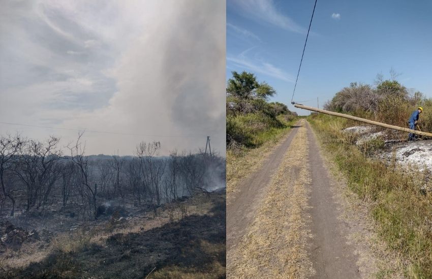 La provincia presentó la nueva flota de vehículos de Enersa con una inversión histórica