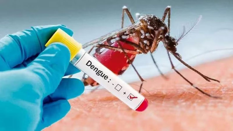 Confirmaron más de 700 nuevos casos de dengue en una semana en Entre Ríos