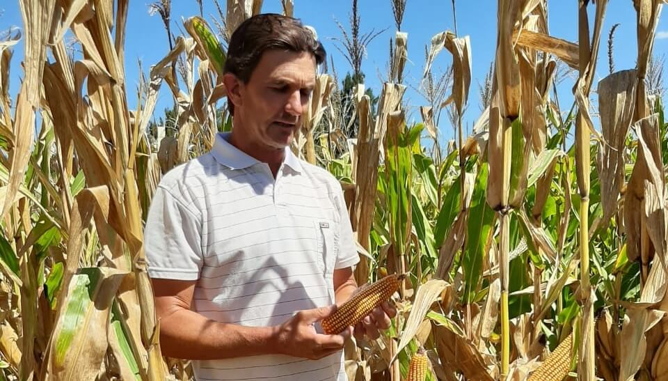 Fabio Koch, el productor maciaense que hace hasta 3 cultivos por campaña y ya casi no usa herbicidas