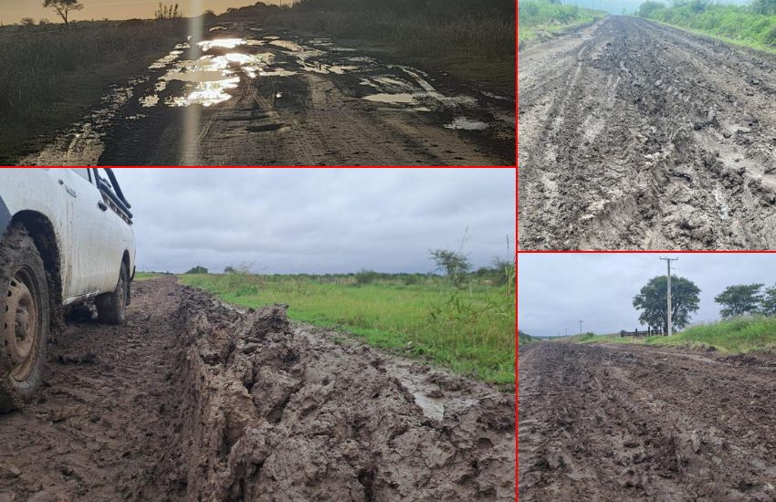 Camino de la Producción Maciá-Viale: fotos