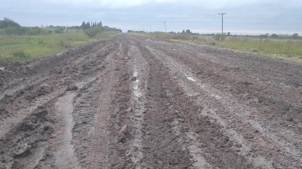 Camino de la Producción Maciá-Viale: “Vialidad no tiene predisposición”