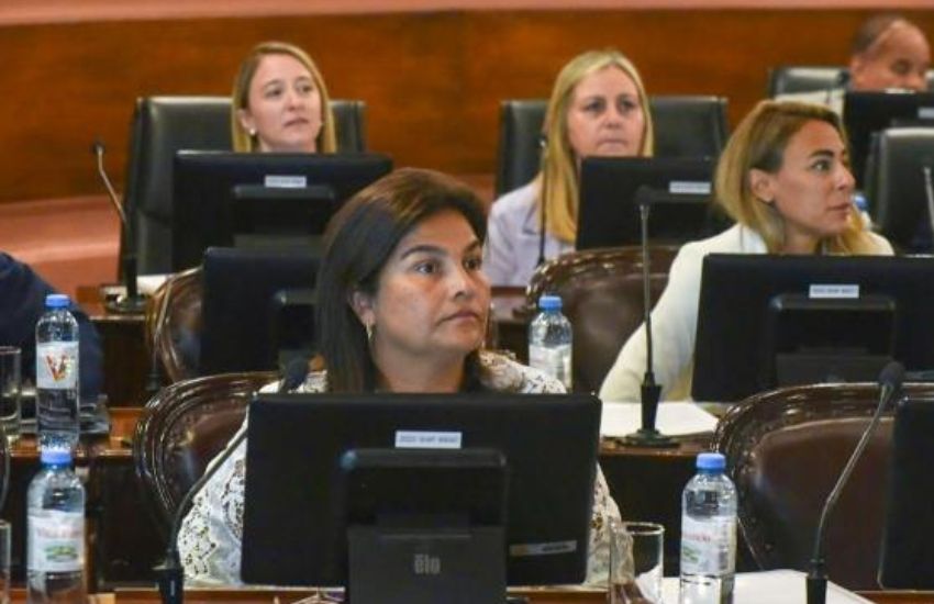 Proponen la adhesión a la ley de cuidados paliativos para que pacientes oncológicos accedan a servicios integrales