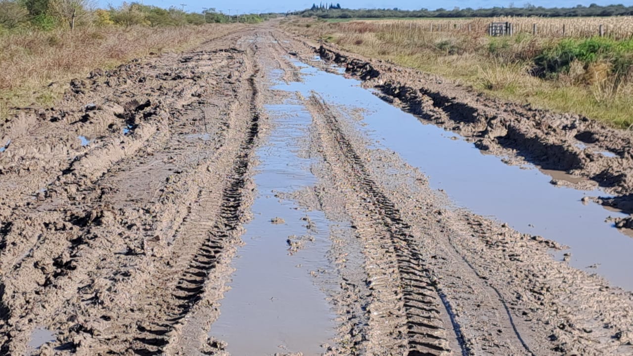 La propuesta de un productor para solucionar los caminos rurales: “Es imposible que Vialidad pueda arreglar todo esto”