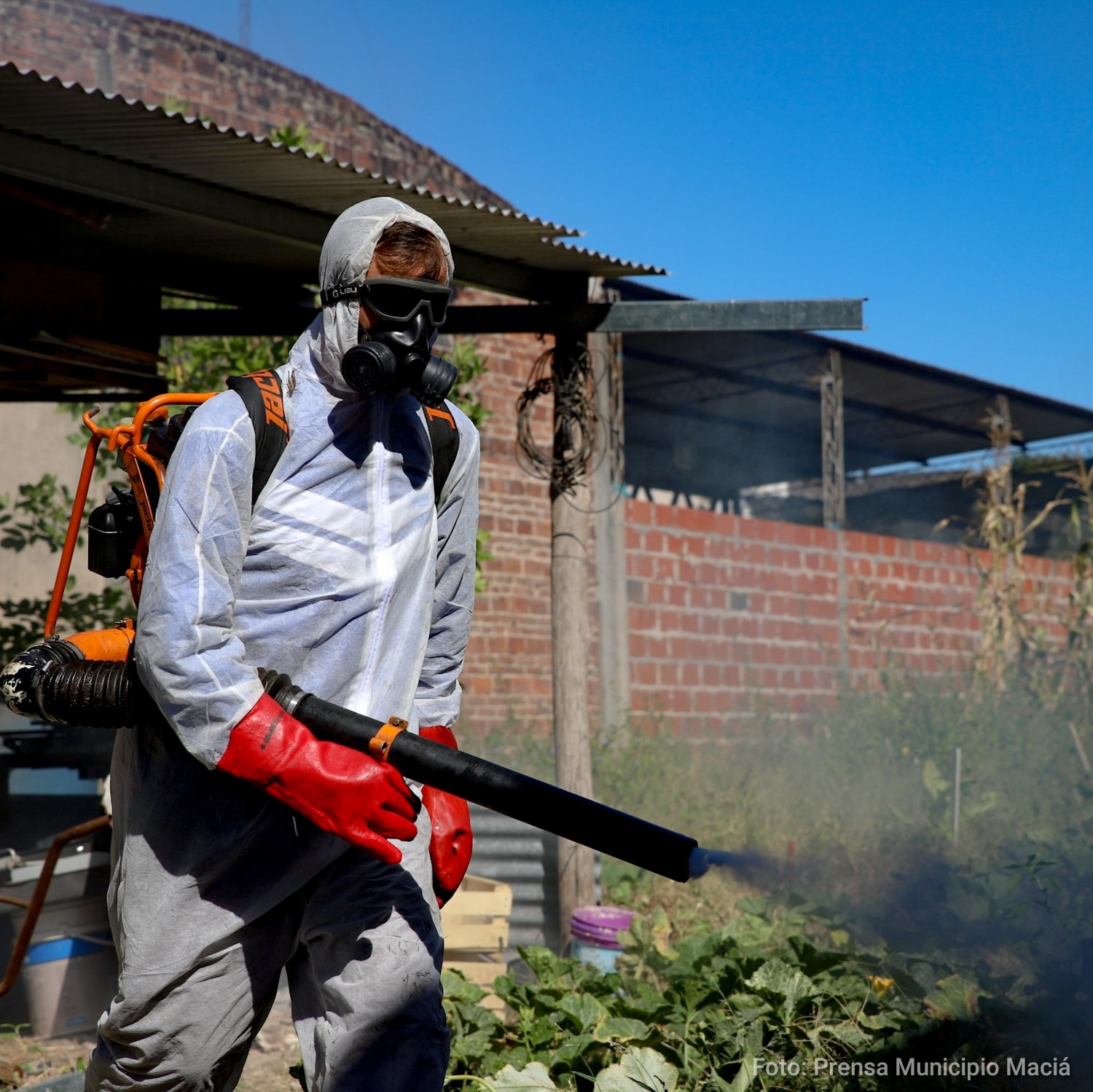 Dengue en Maciá: desde el Municipio explicaron por qué no se está fumigando