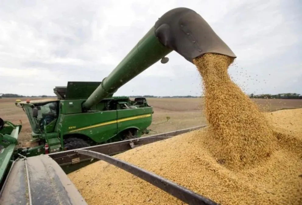 La producción de soja en Entre Ríos fue la tercera más importante desde el ciclo 2000/01