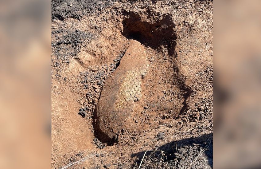 En Libaros encontraron restos fósiles, sería de un Gliptodonte