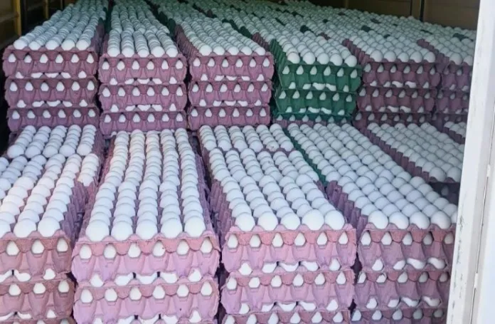 Decomisaron unos 36 mil huevos sin documentación sanitaria que se iban a comercializar en Entre Ríos