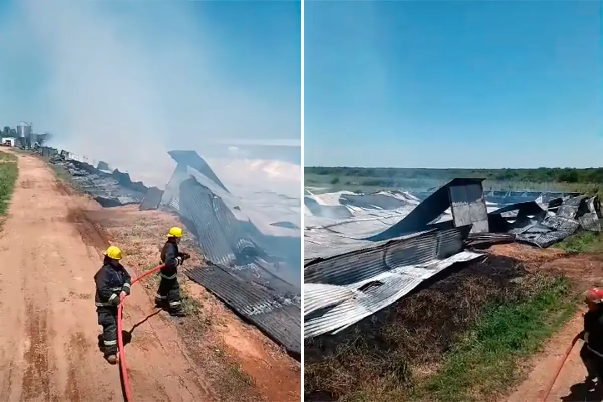 Un incendio arrasó un galpón avícola con más de 38.000 pollos cerca de Federal