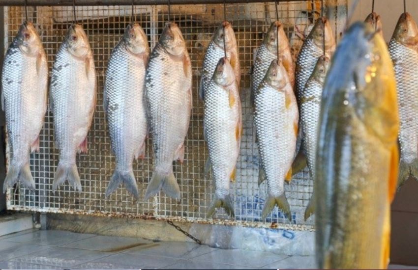 Por Semana Santa desde el Municipio recuerda algunas recomendaciones para el consumo de pescados